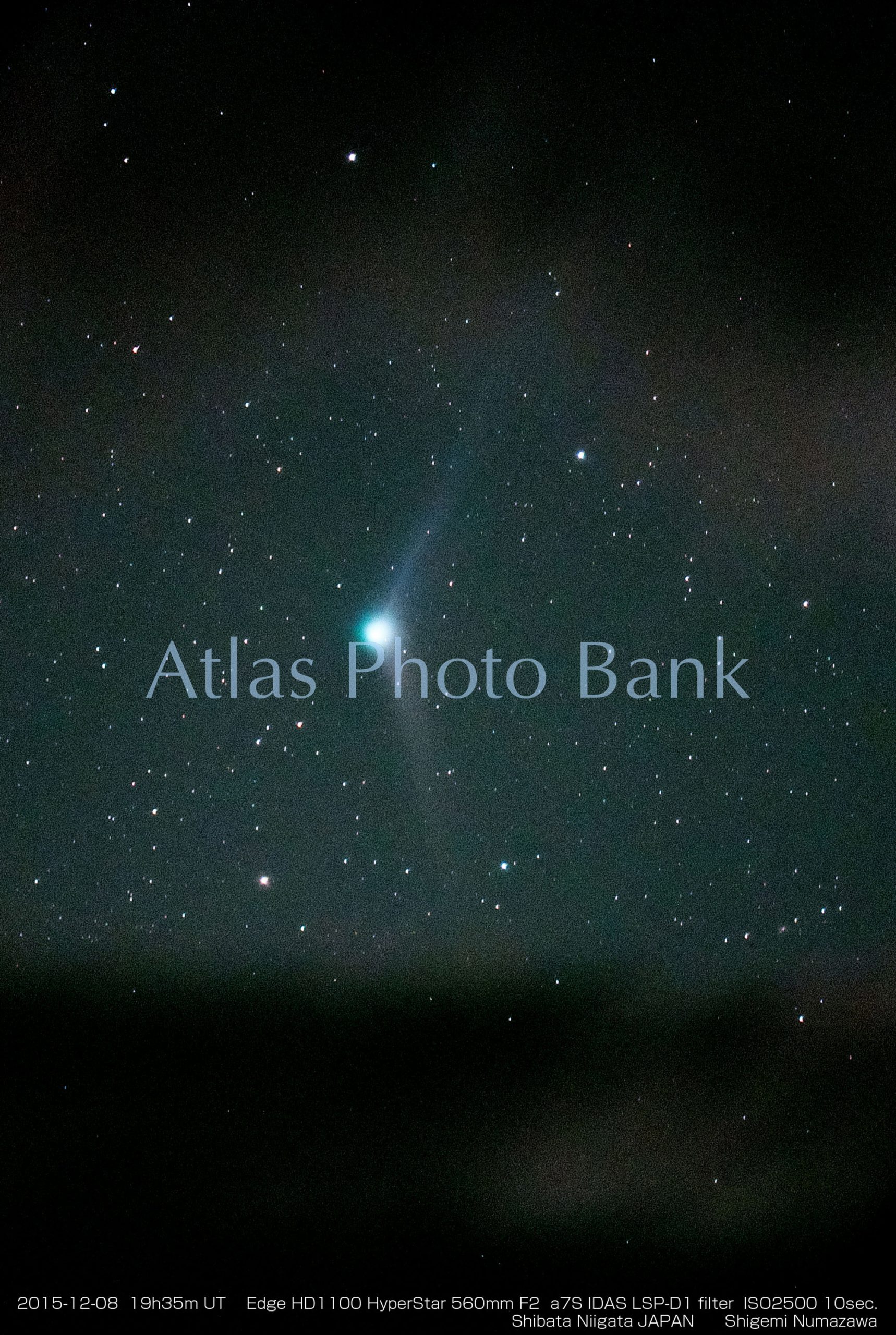 CMP-028-カタリーナ彗星・2015年