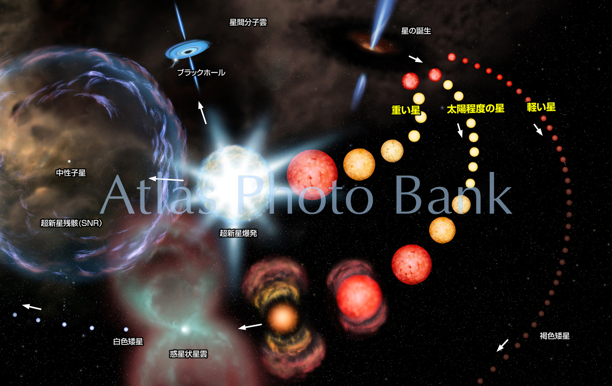 LS-001-3-質量別星の一生