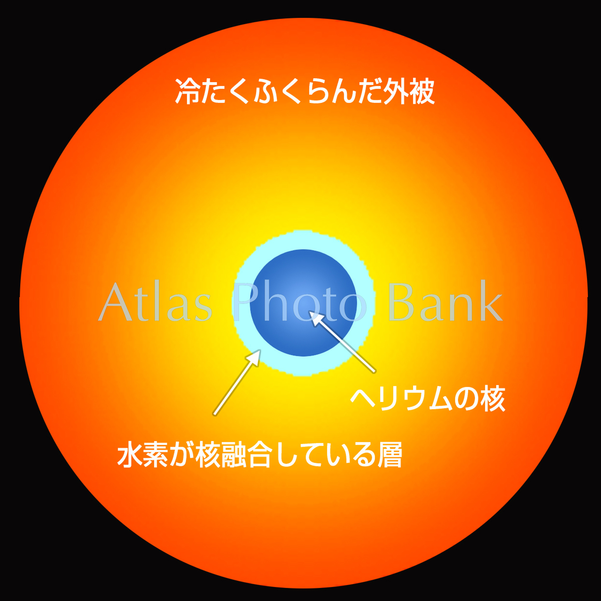 LS-047-ミラの構造
