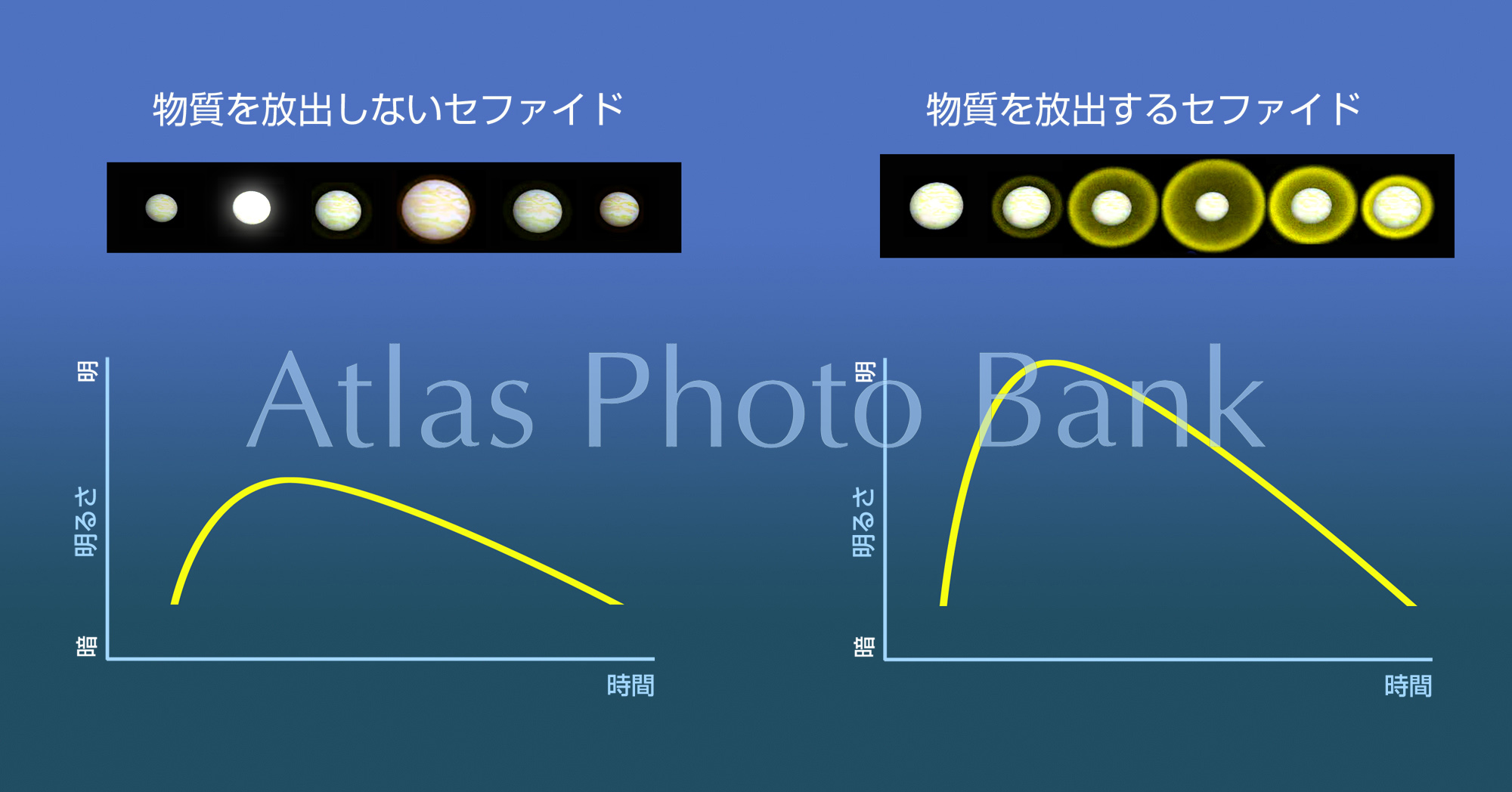 CL-185-2種類のセファイド