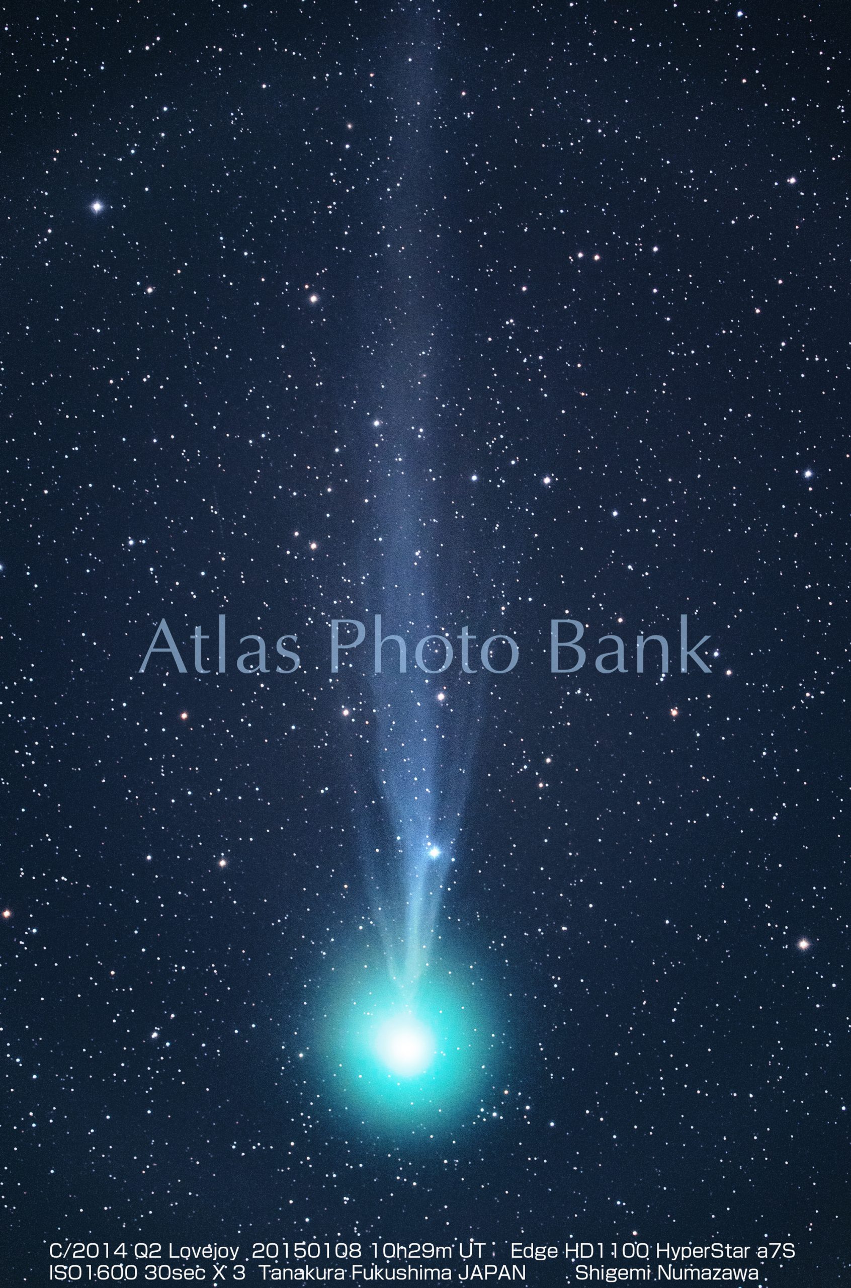 CMP-034-ラブジョイ彗星・2015年