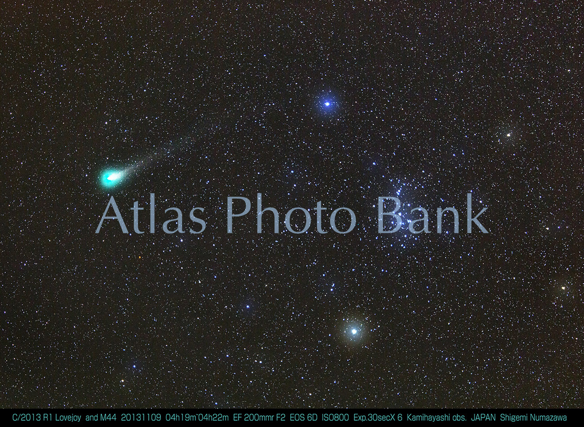 CMP-036-ラブジョイ彗星とプレセペ・2013年