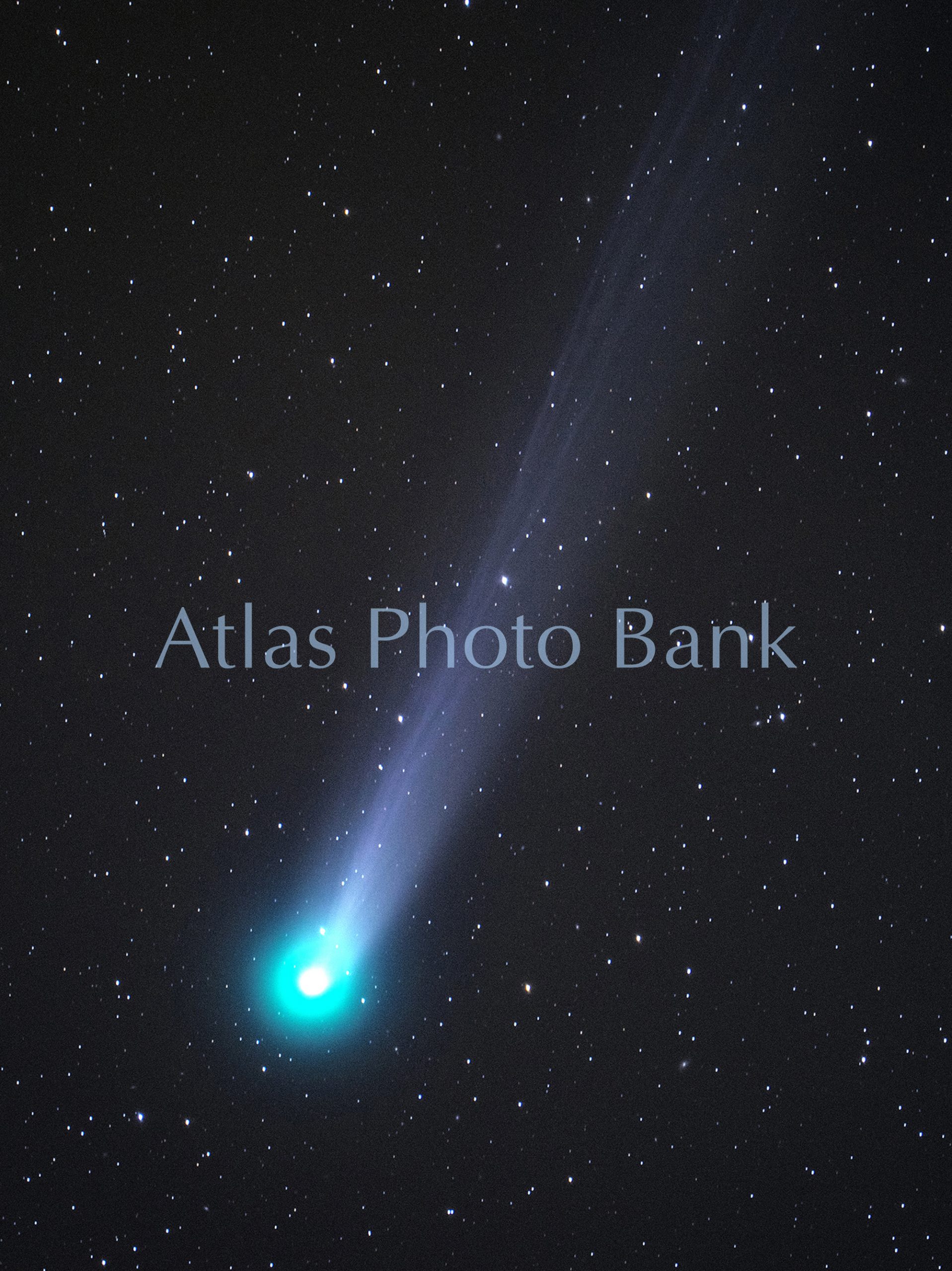 CMP-039-ラブジョイ彗星・2013年