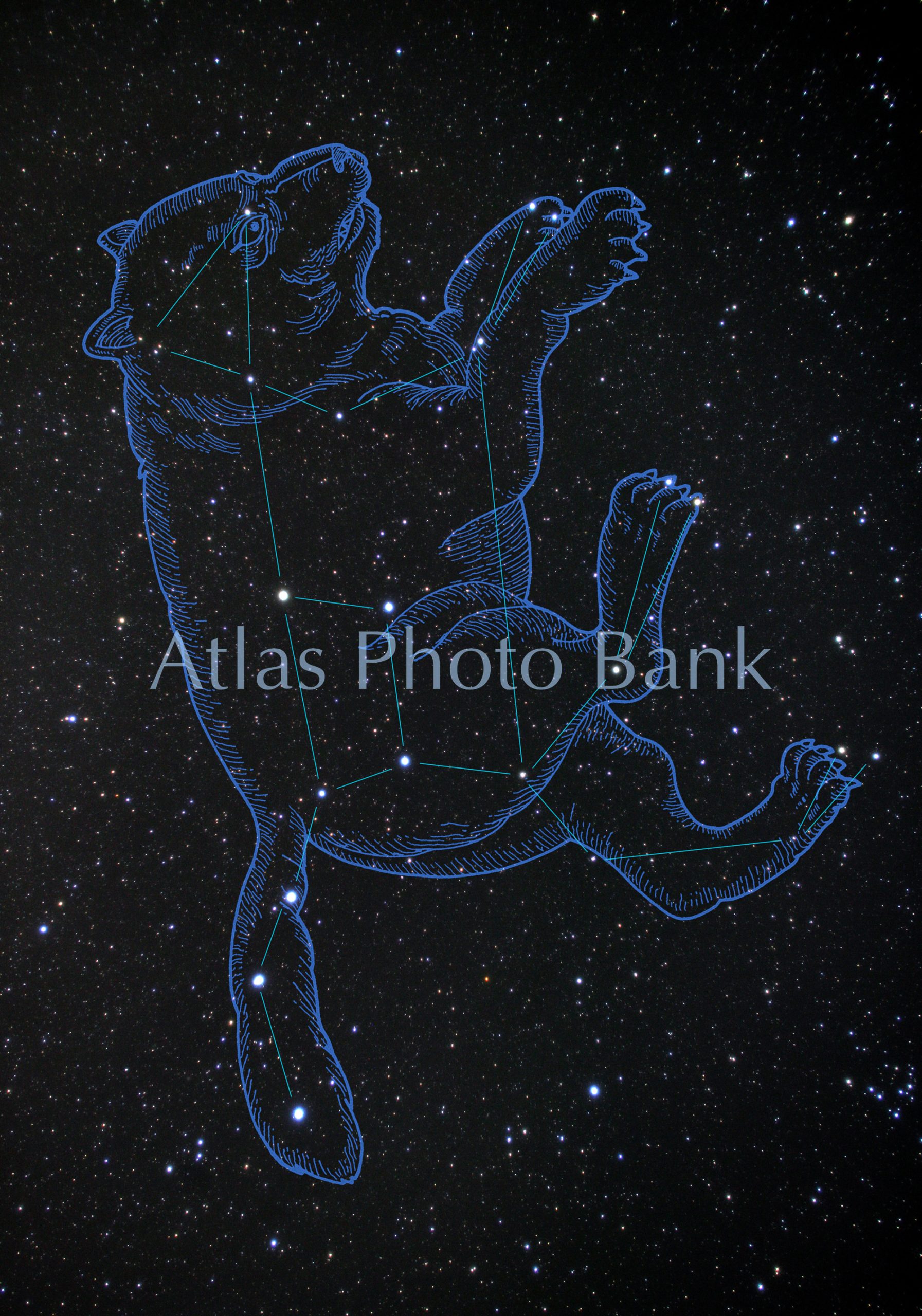 CR-FP-005-2-星座絵付き星座写真-おおぐま座