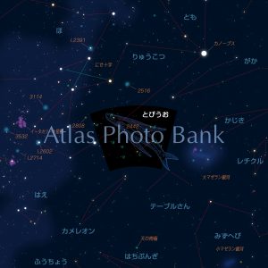 CR-SSO-001-とびうお座主な天体名付き