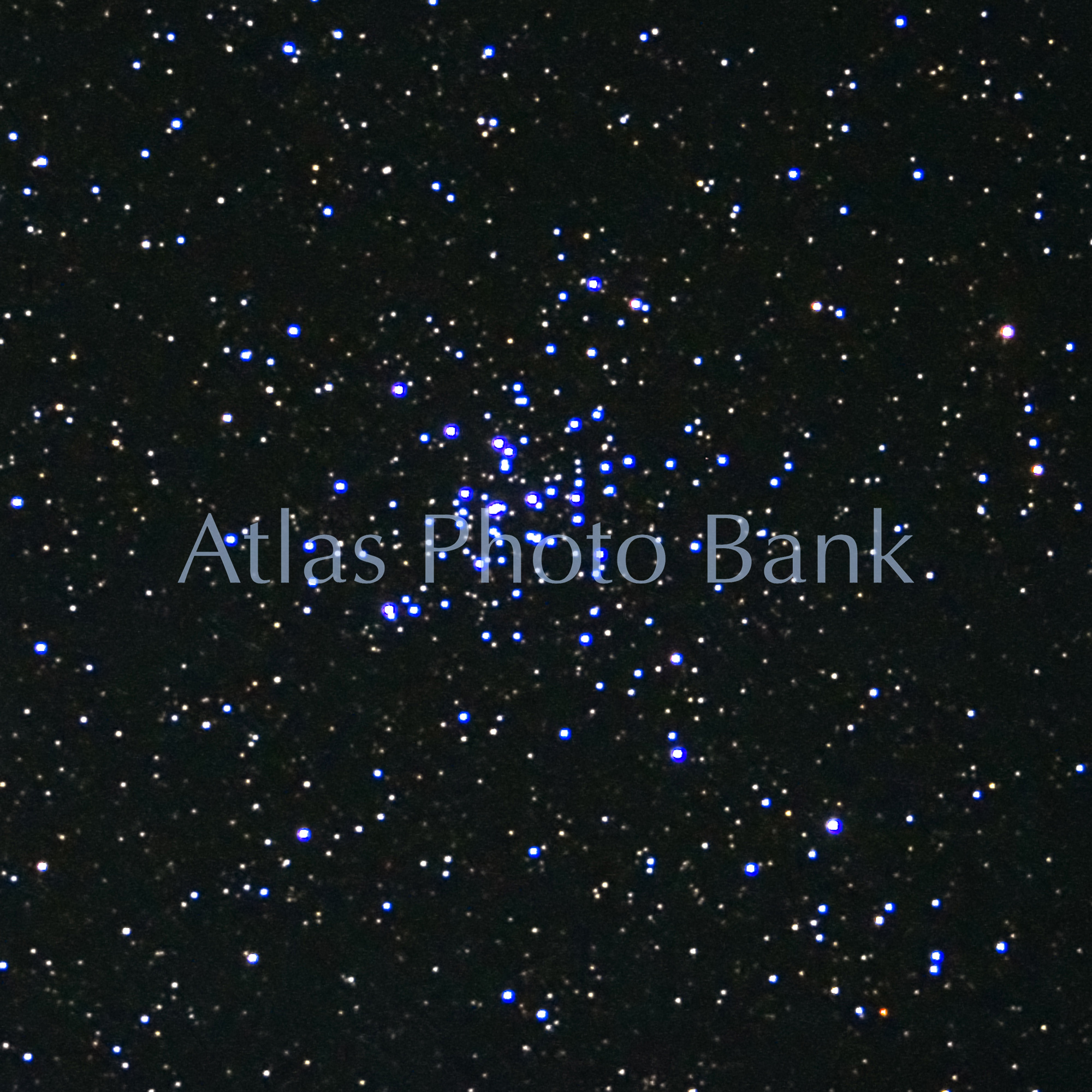 CR-SWP-010- M36-ぎょしゃ座の散開星団