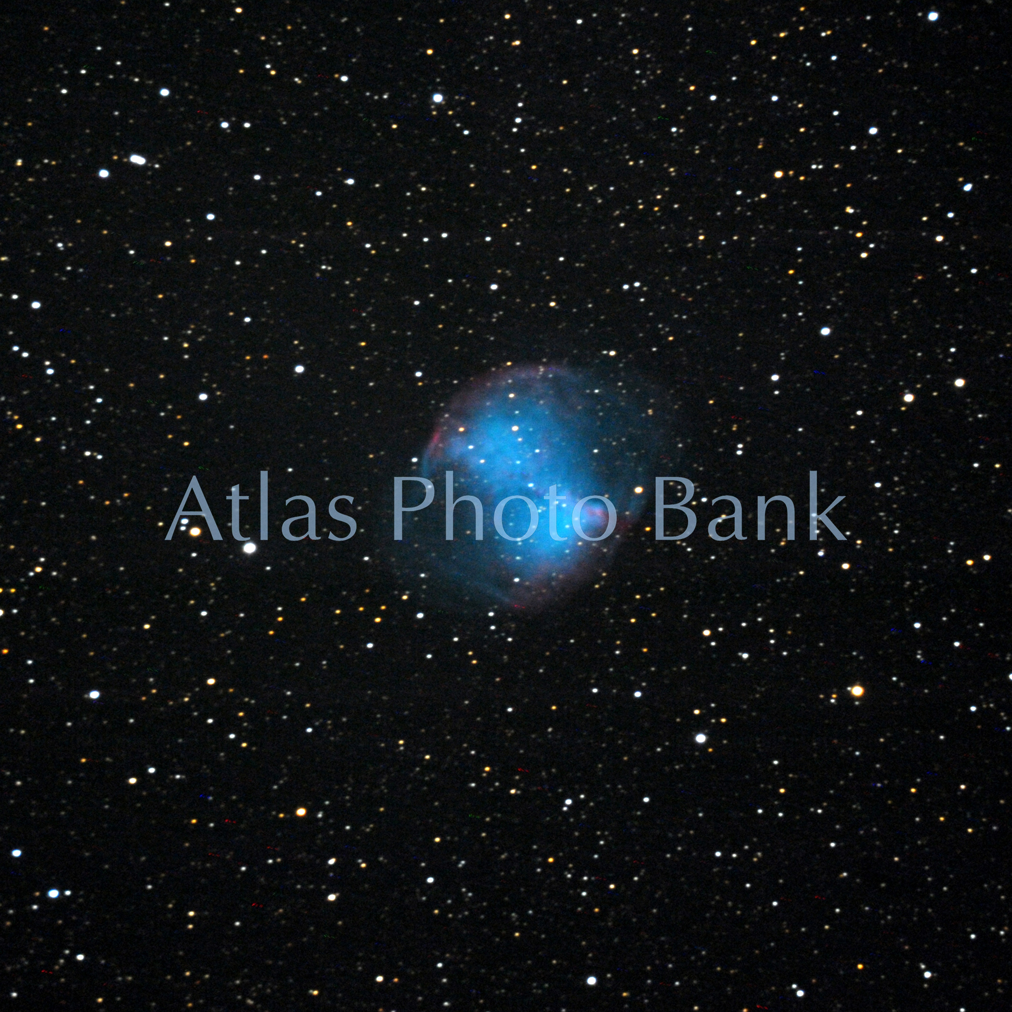 DSP-019-M27アレイ状星雲