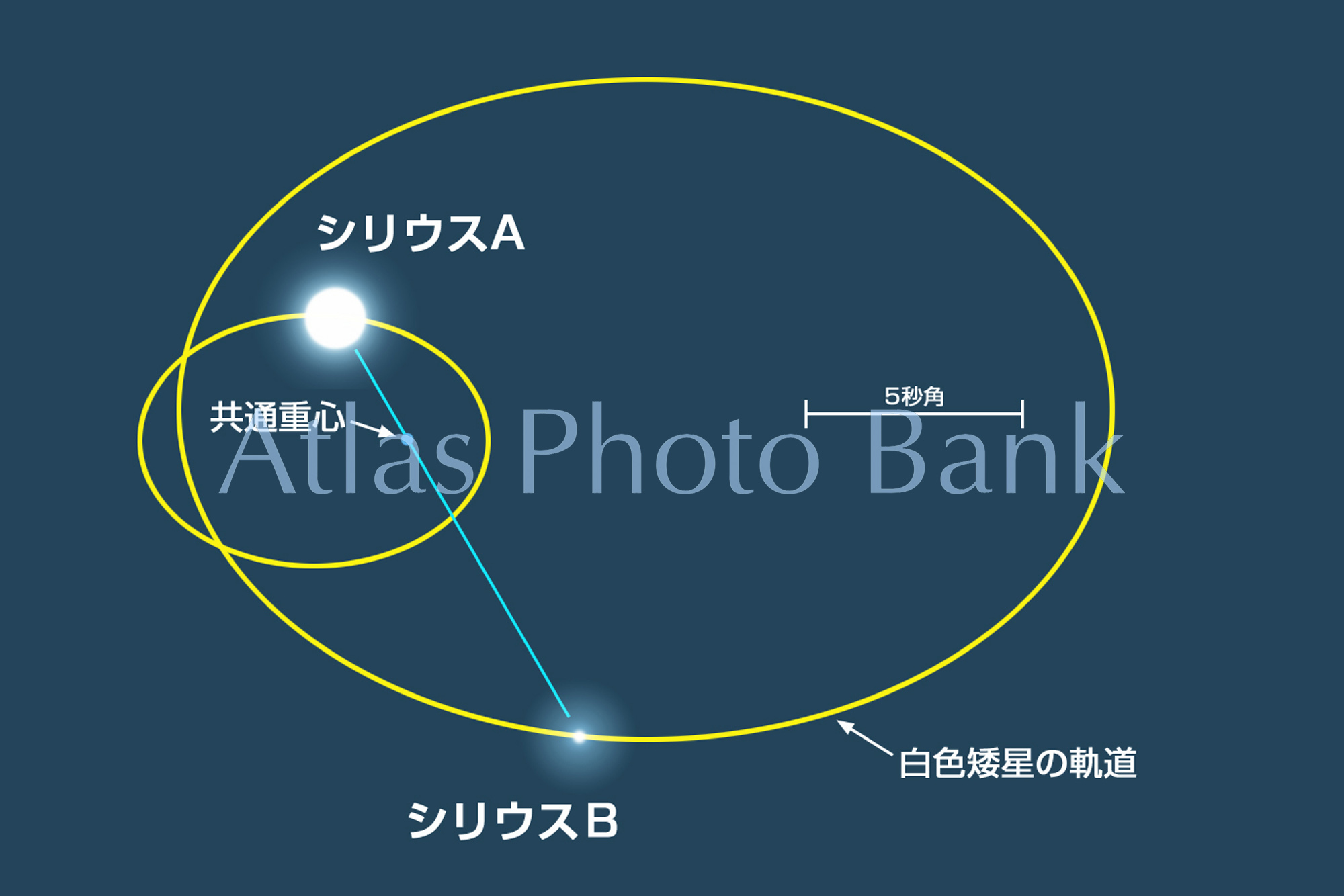 EF-033-実際のシリウスA星B星の動き-シリウス星系