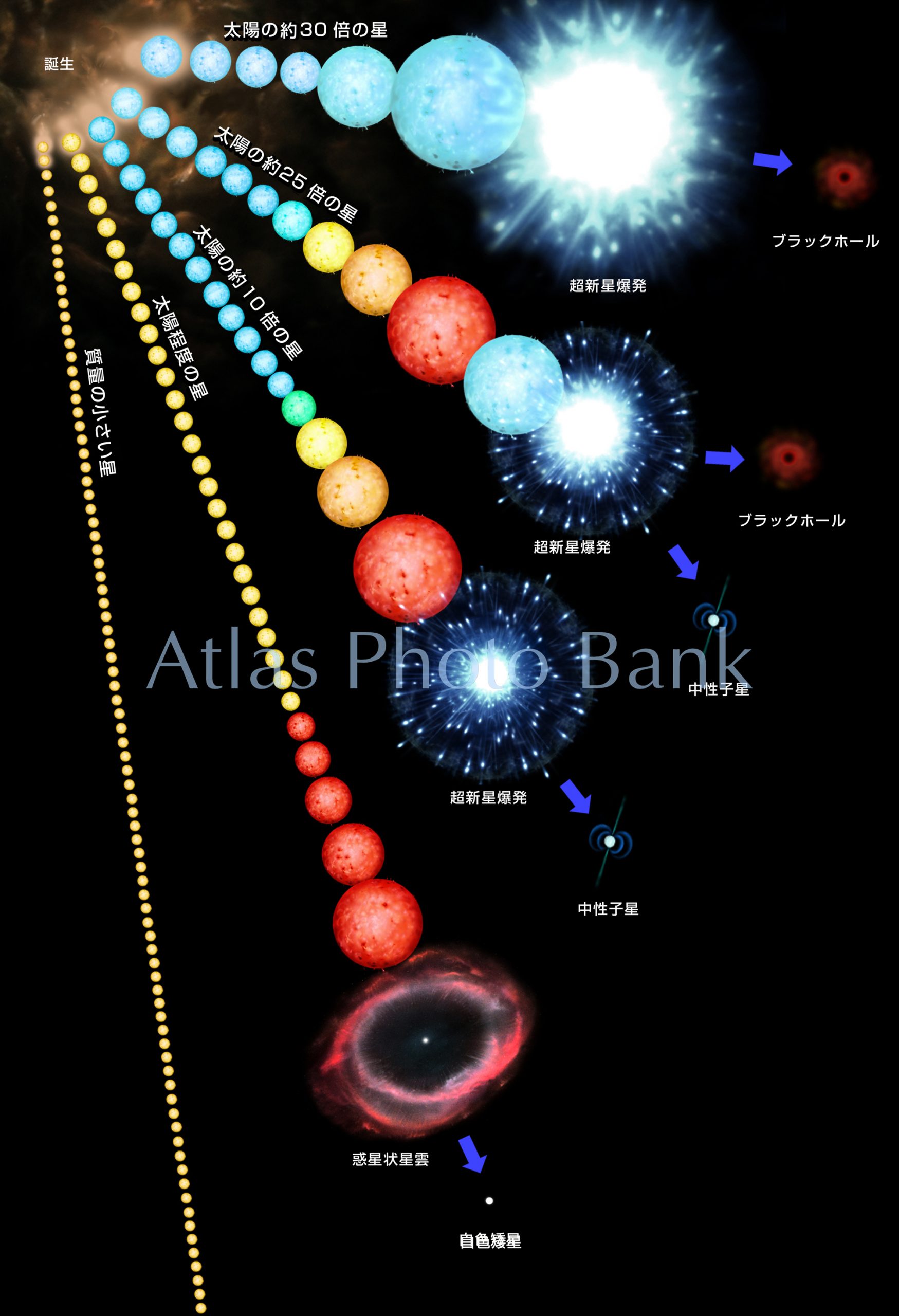 LS-001-4-質量別星の一生