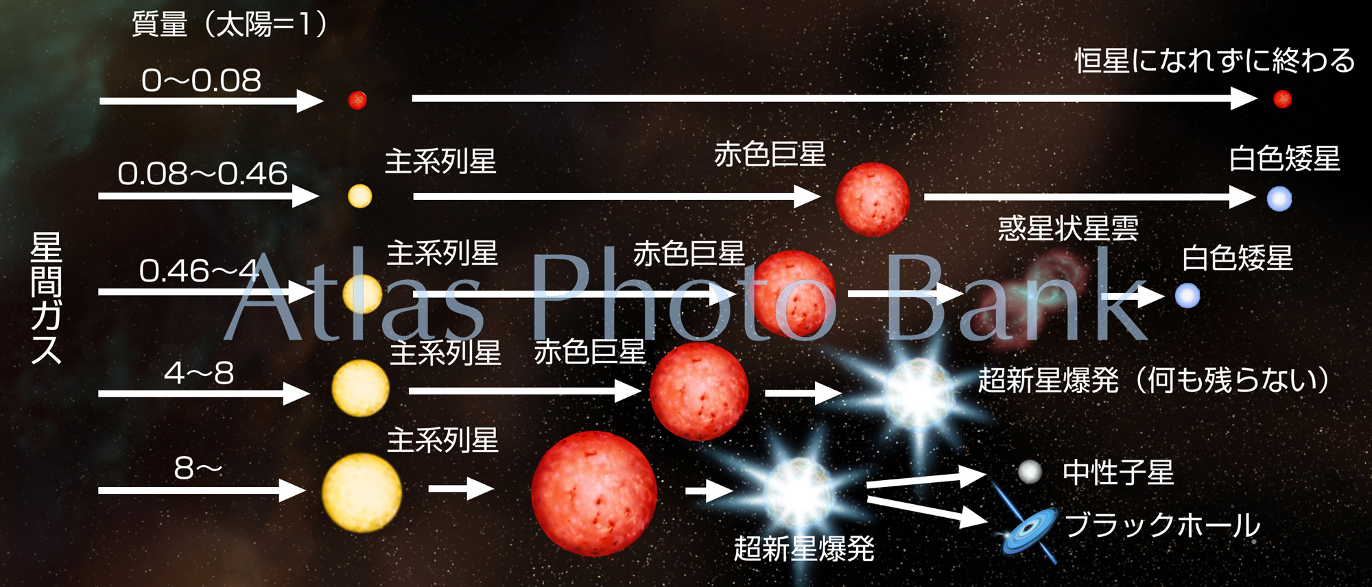 LS-002-質量別星の一生