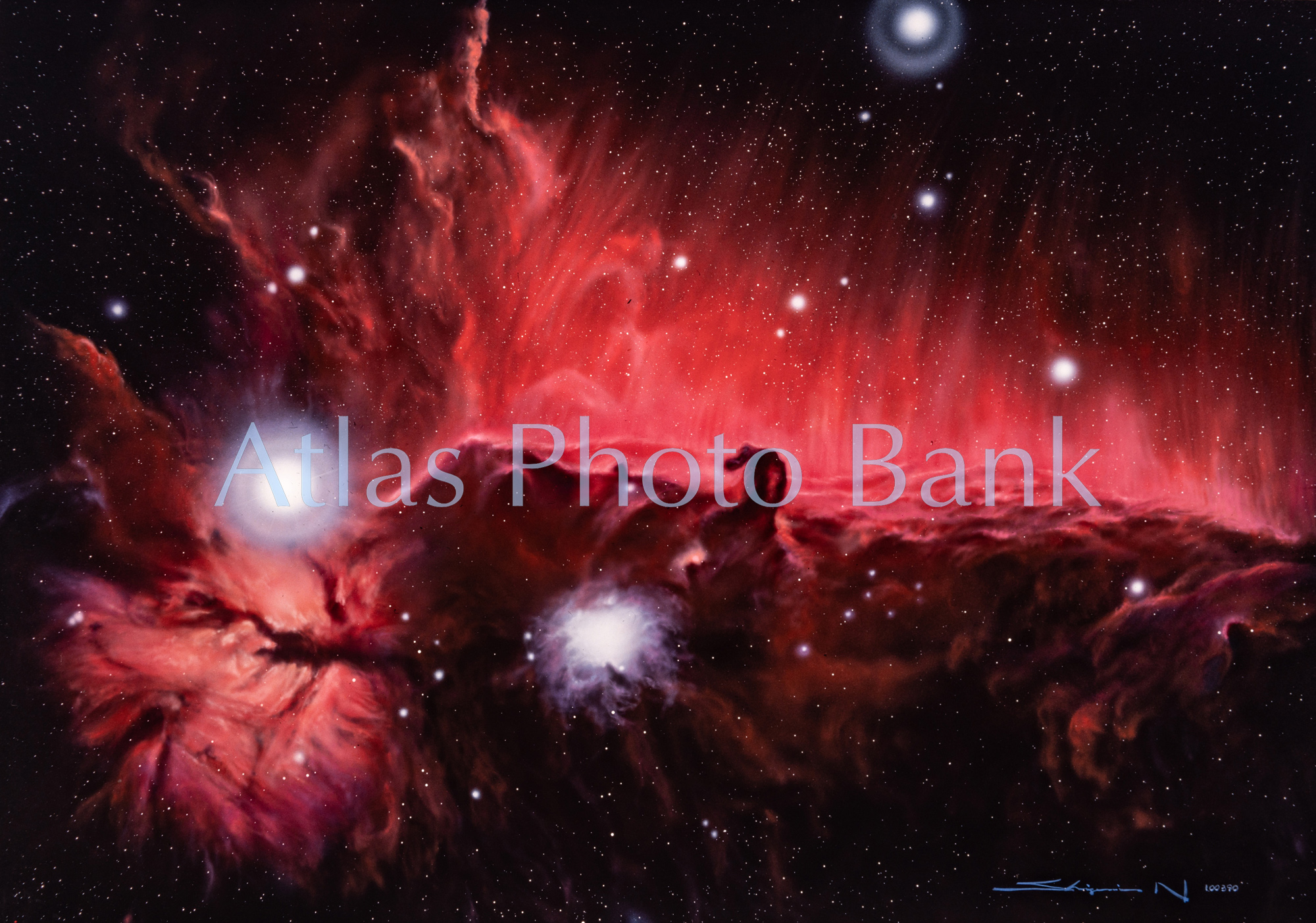 LS-014-馬頭星雲とNGC2024-暗黒星雲と散光星雲