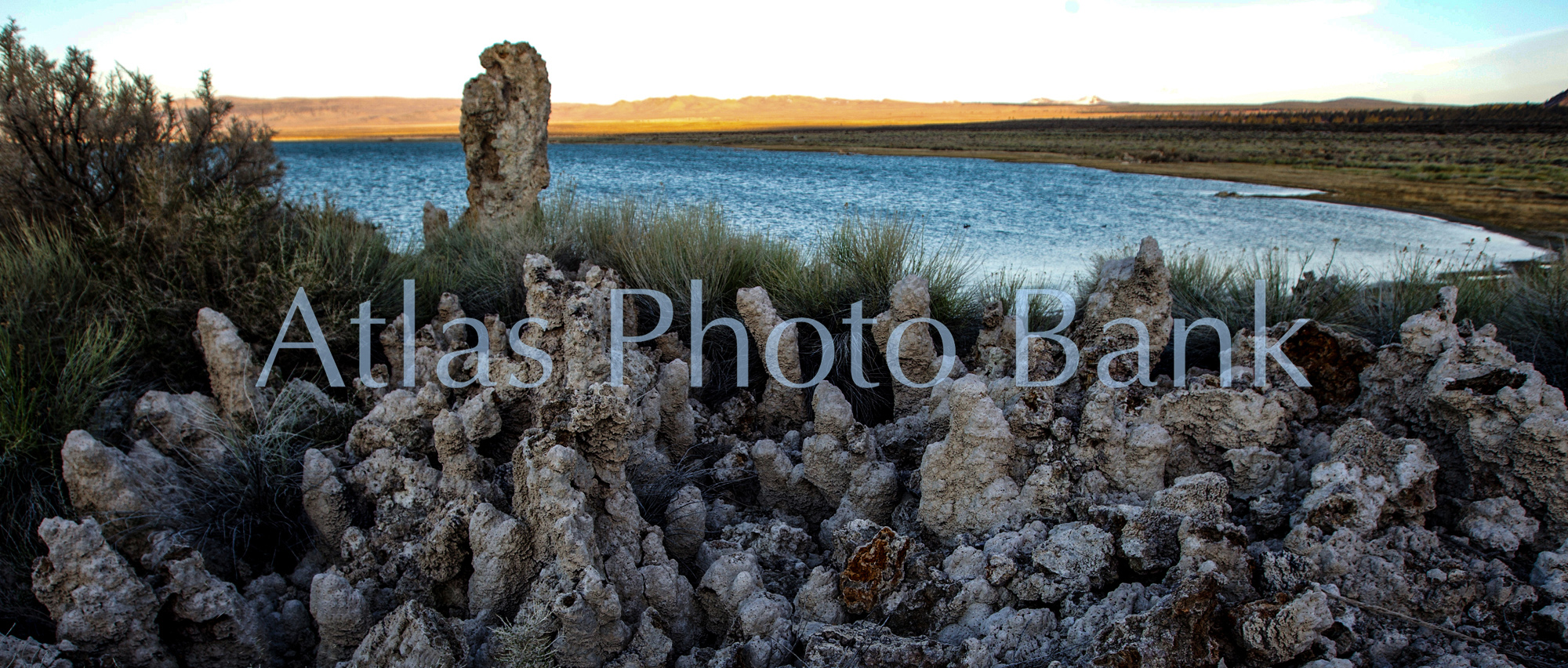 LSP-365-モノ湖の奇妙な形の岩