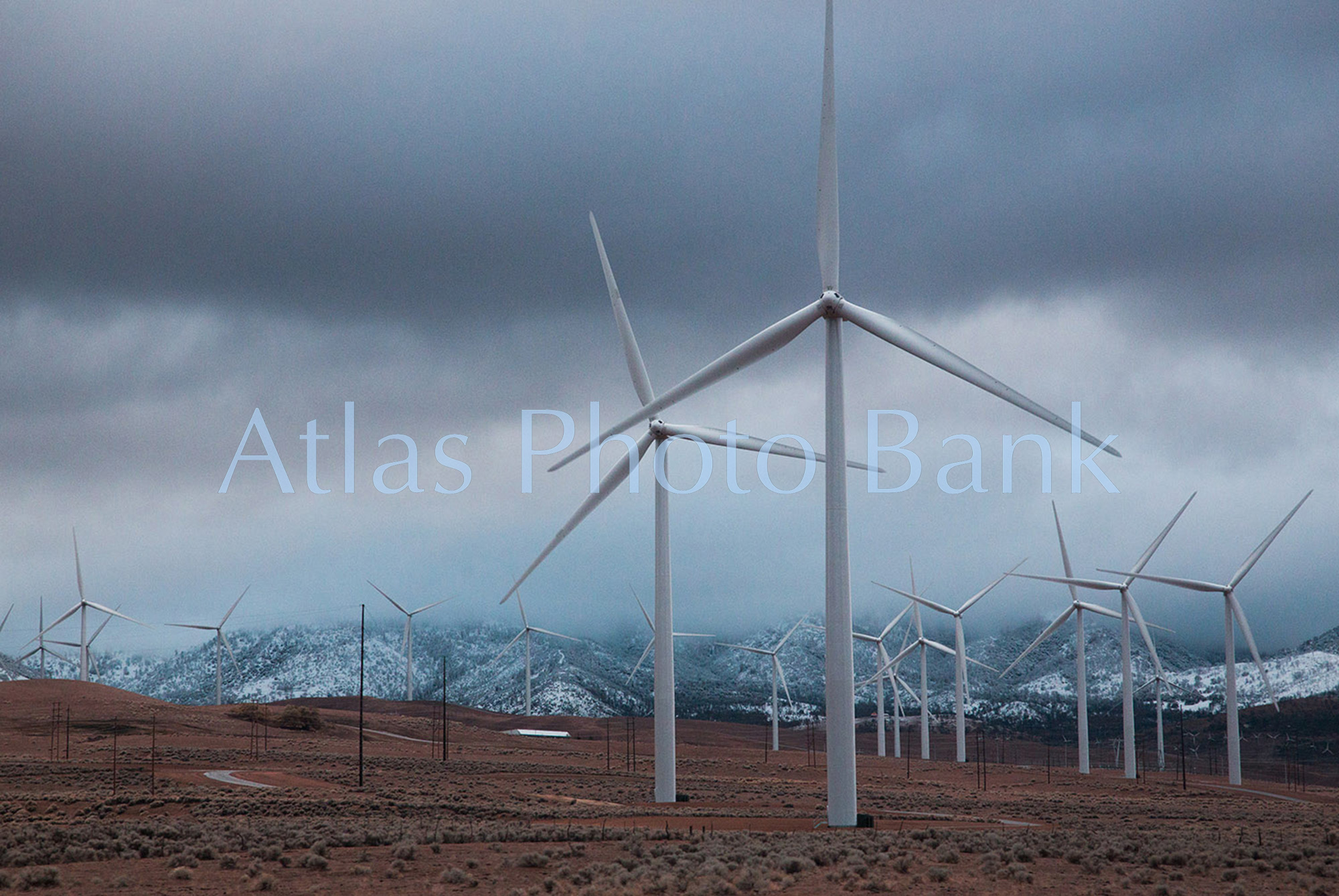 LSP-384-林立する風力発電の風車