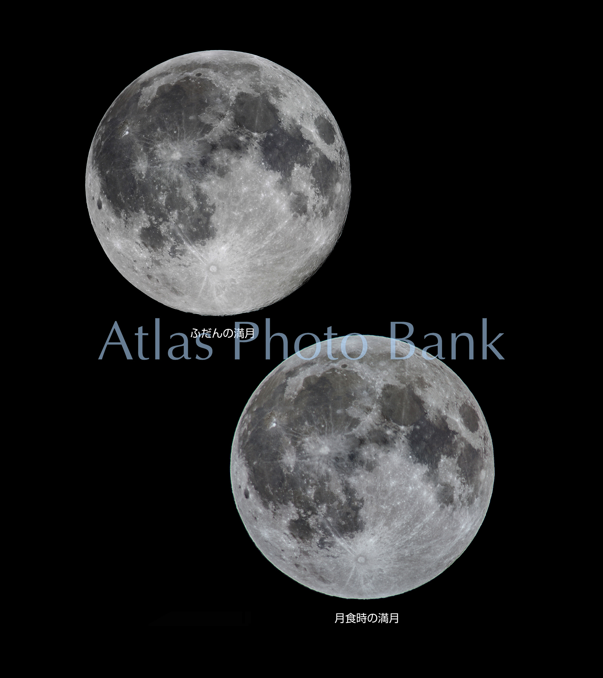 MOP-060-ふだんの満月と月食時の満月
