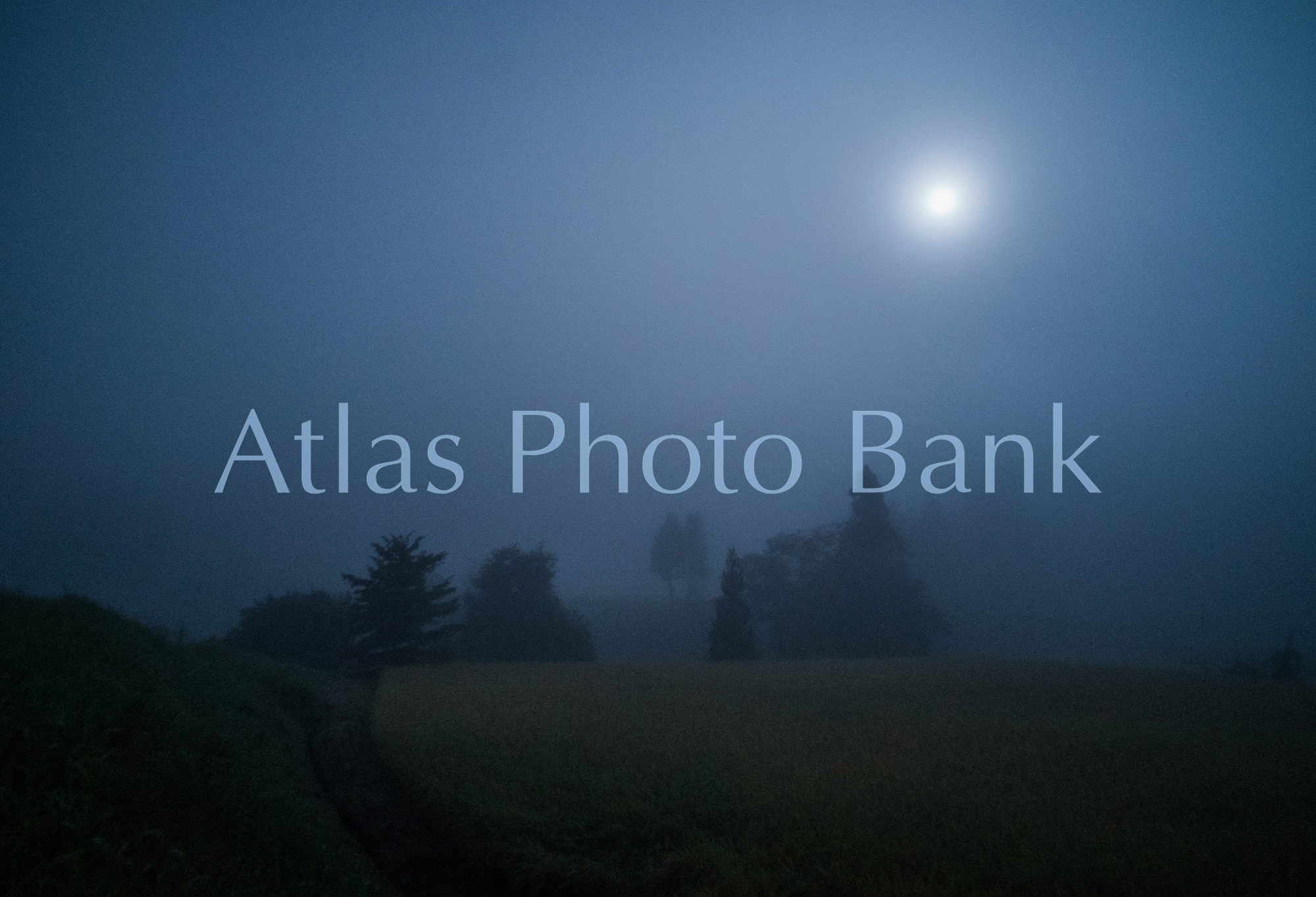 MOP-087-霧の月夜