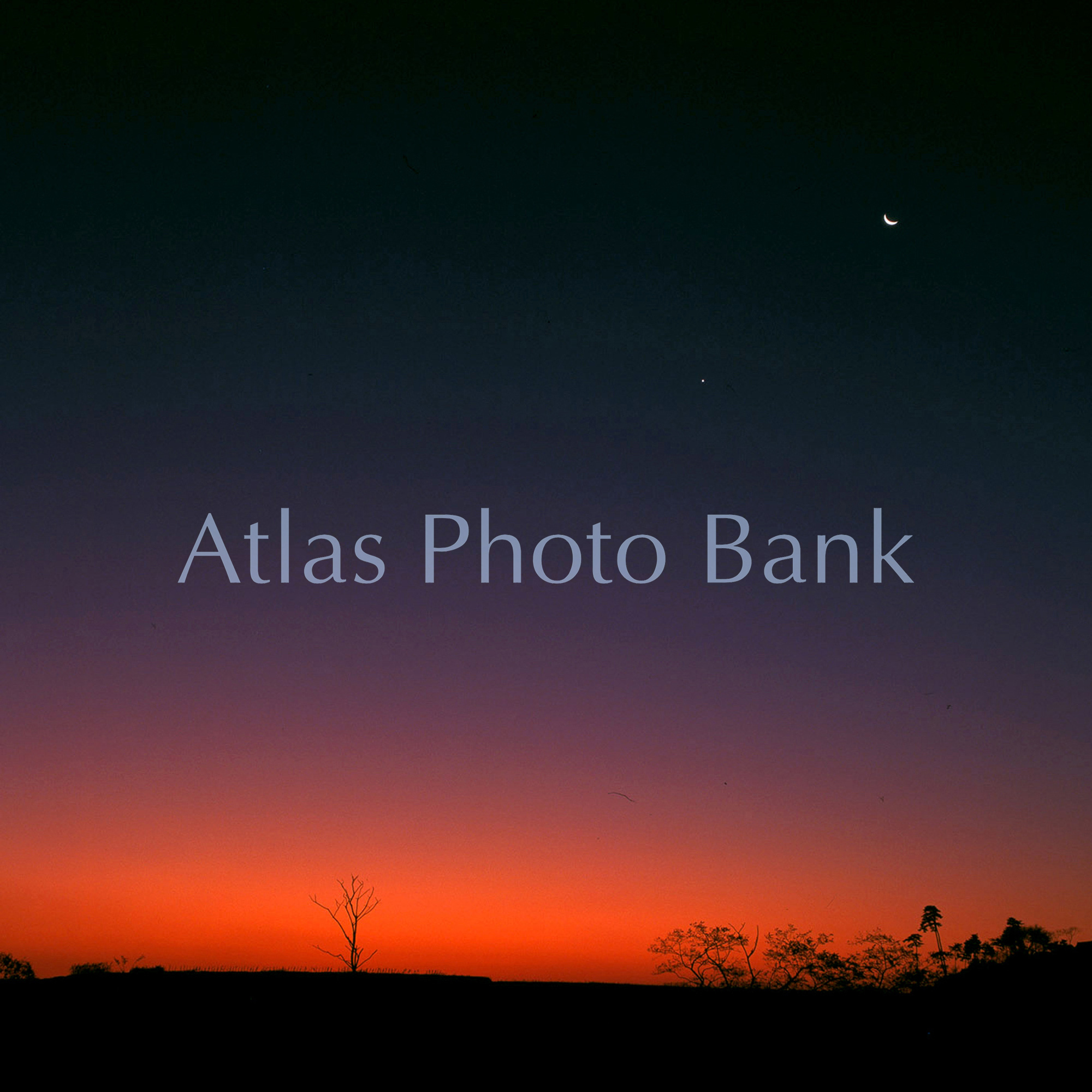 MOP-124-朝焼けの空に輝く月と金星
