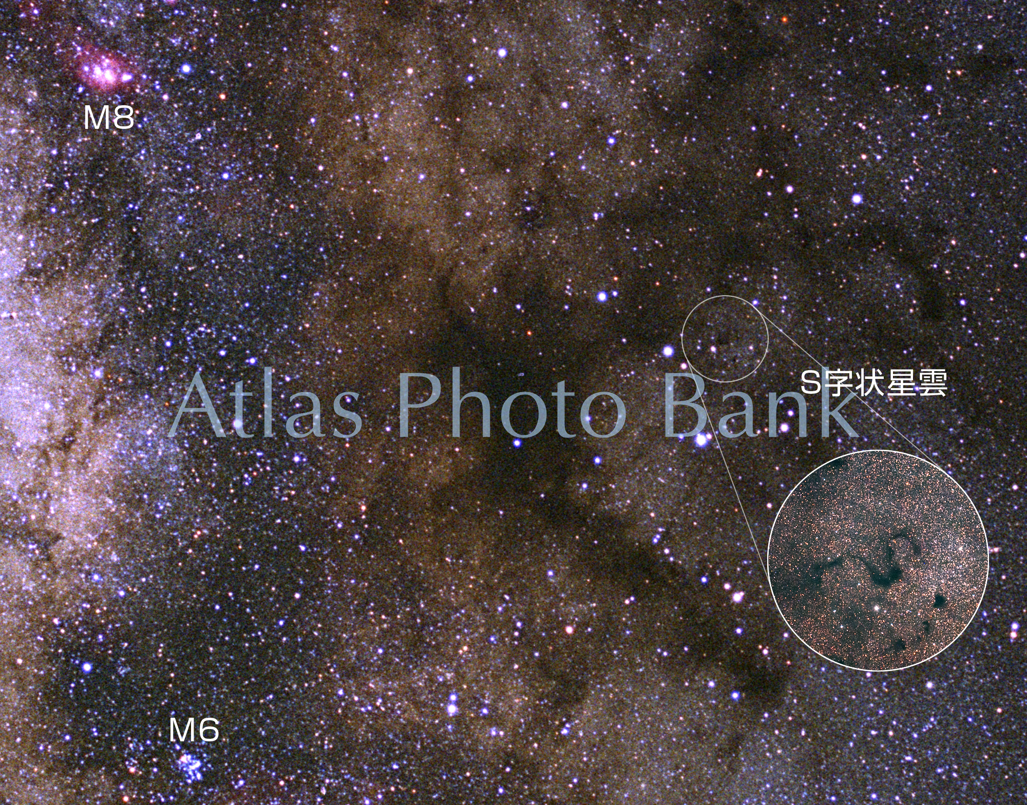 MWP-030-パイプ星雲、S字状星雲付近の天の川-銀河系中心方向の天の川-25-へびつかい座の暗黒星雲