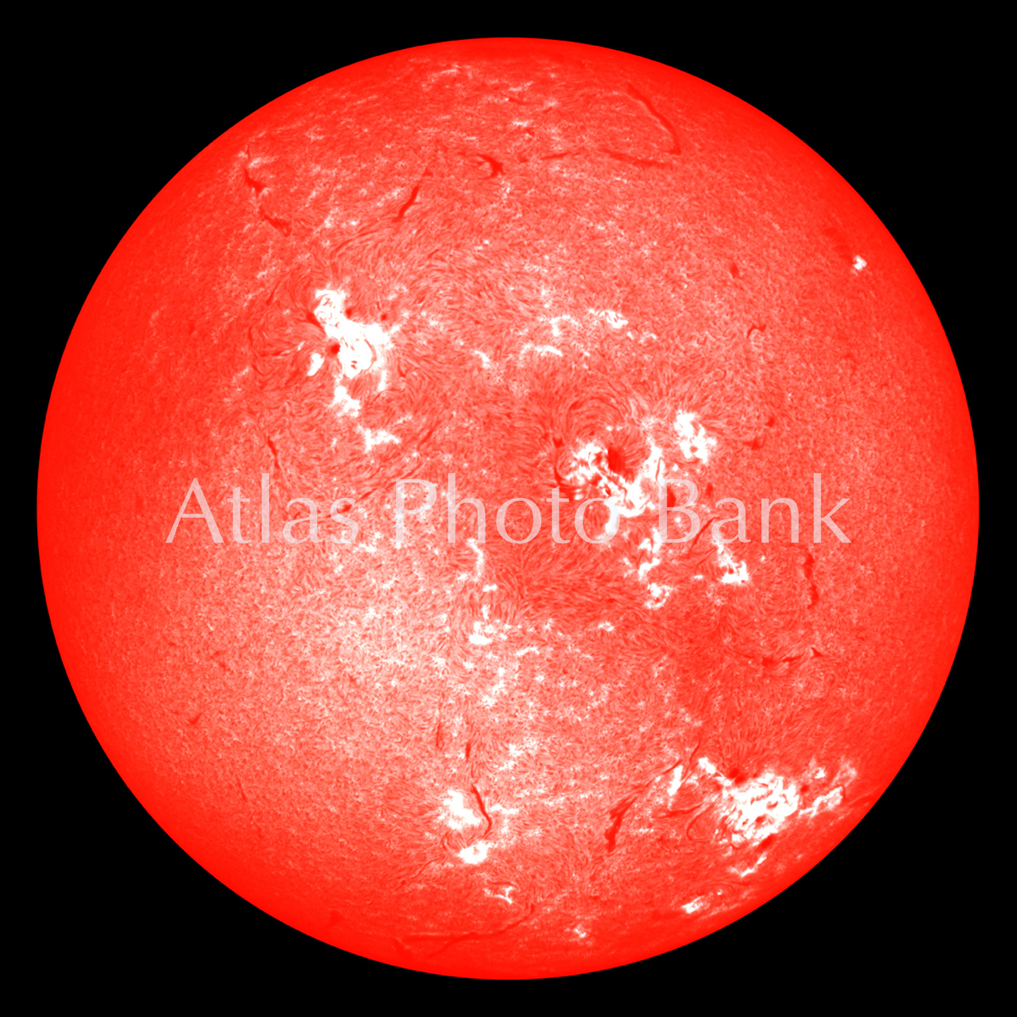 SOP-004-Hα光で見た太陽面