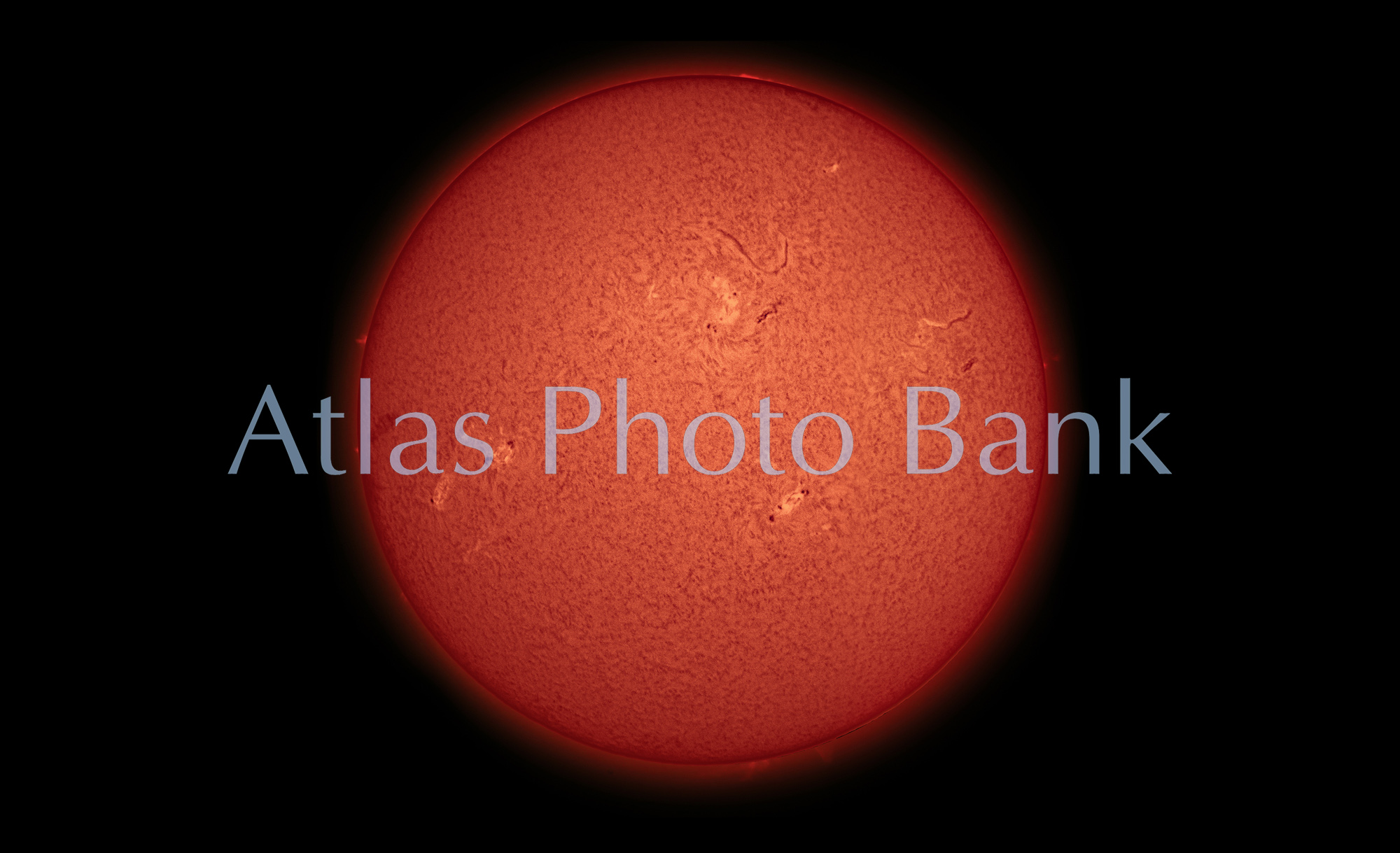 SOP-005-1-Hα光で見た太陽面とプロミネンス