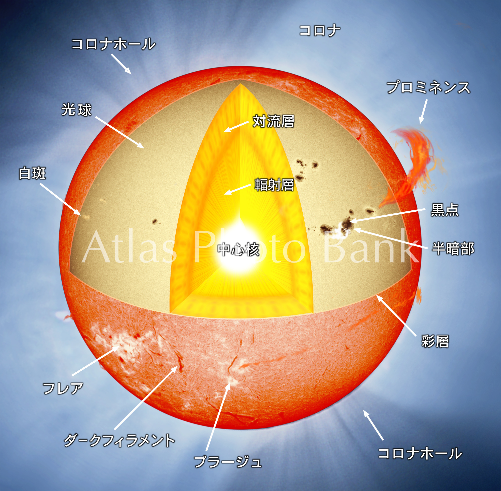 SS-010-1-太陽の構造-文字入り