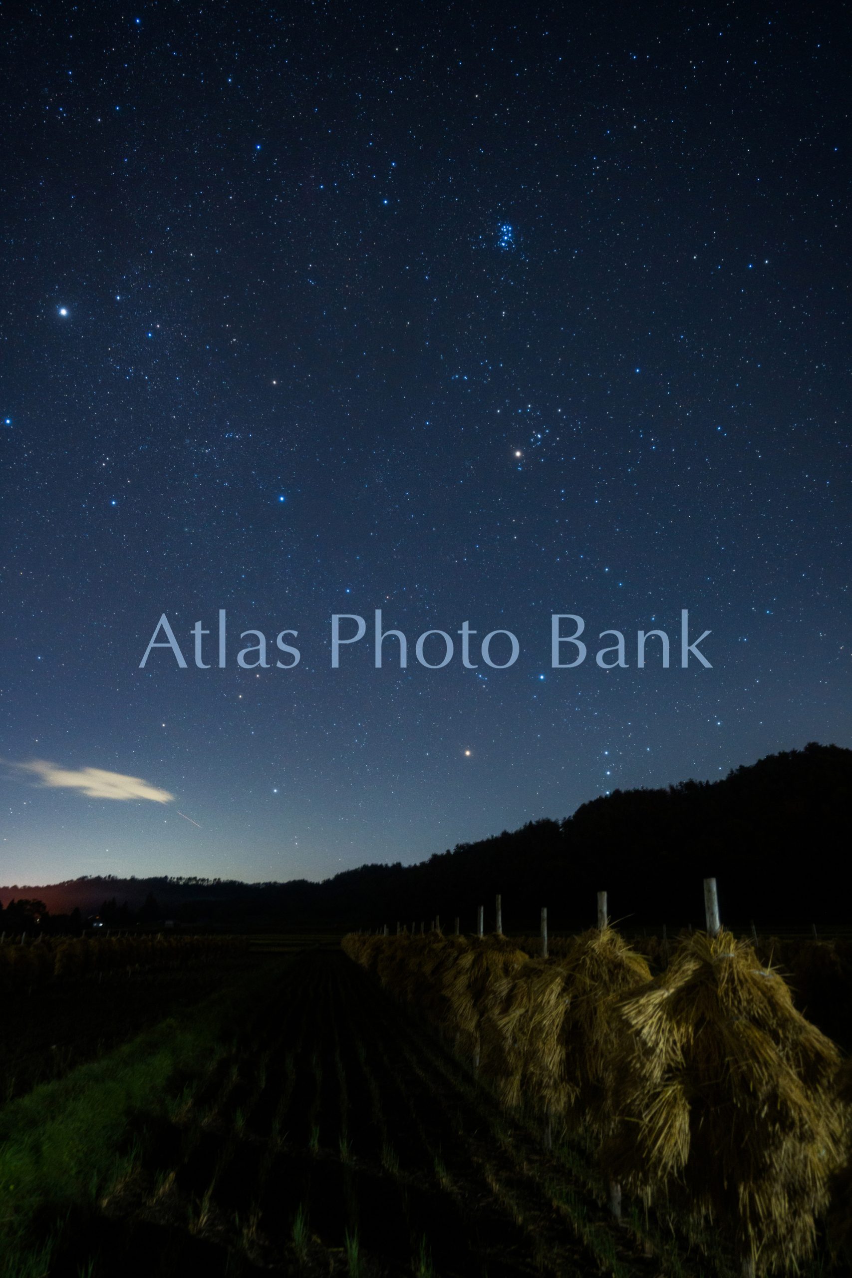 SSP-201-稲刈りの終わった田んぼの上に輝く冬の星座