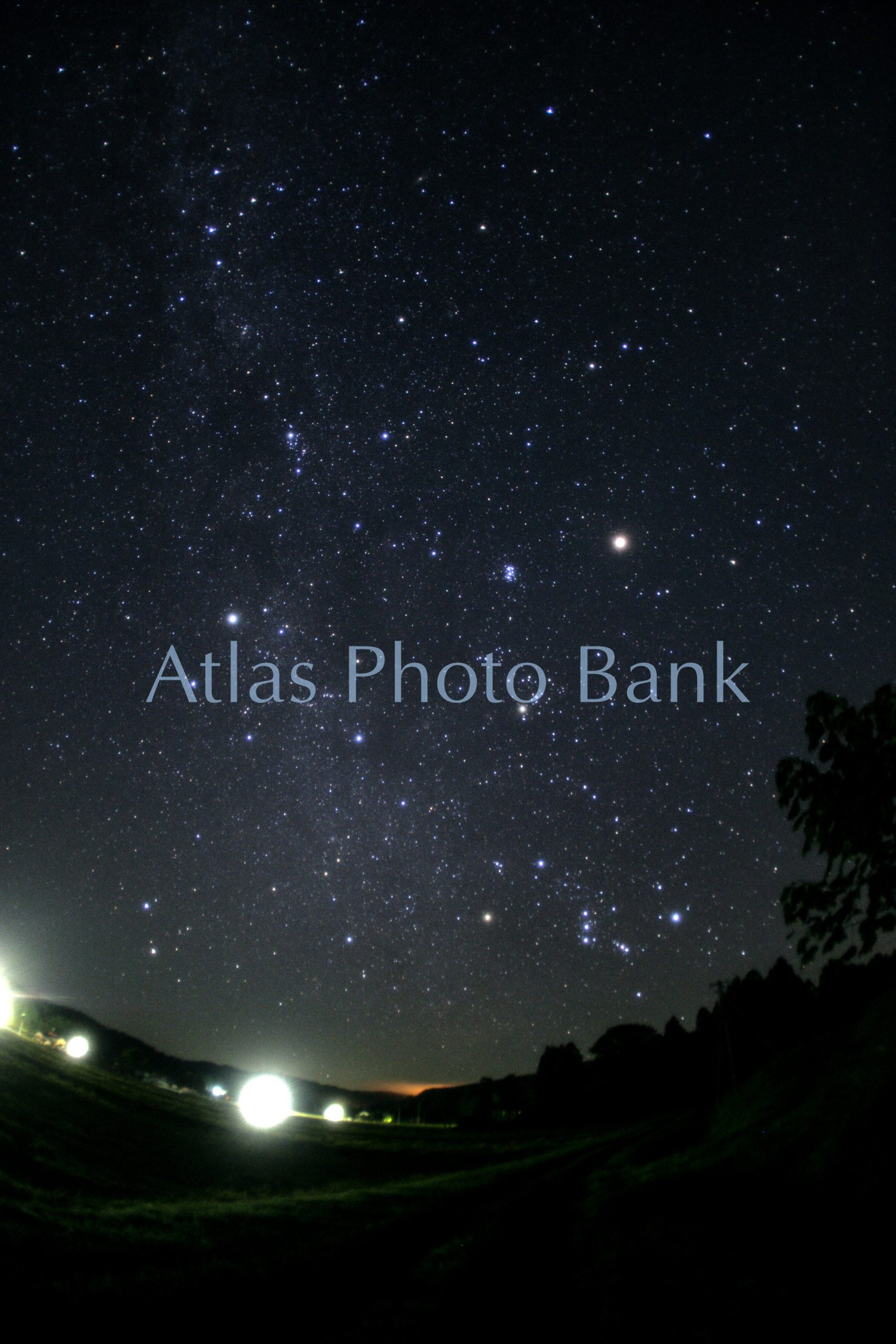 SSP-207-田園に昇る冬の星座