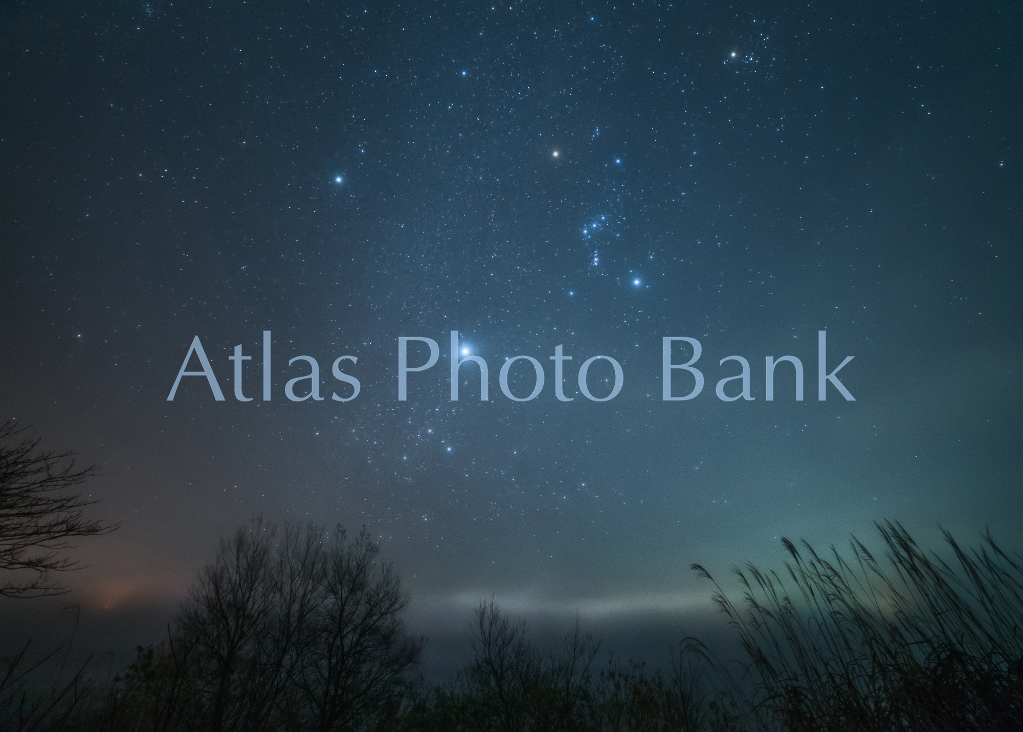 SSP-268-霧の夜に輝く冬の星座