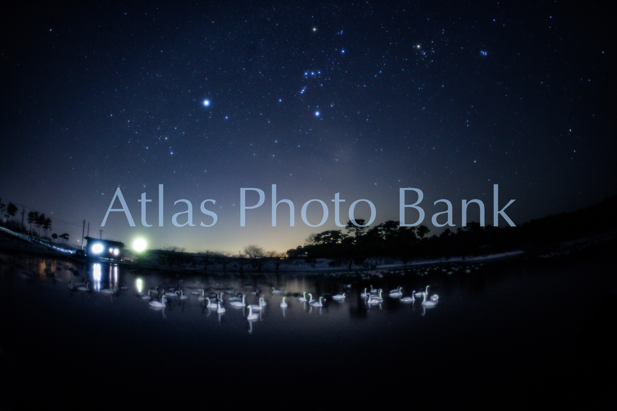 SSP-340-星の降る池と冬の星座