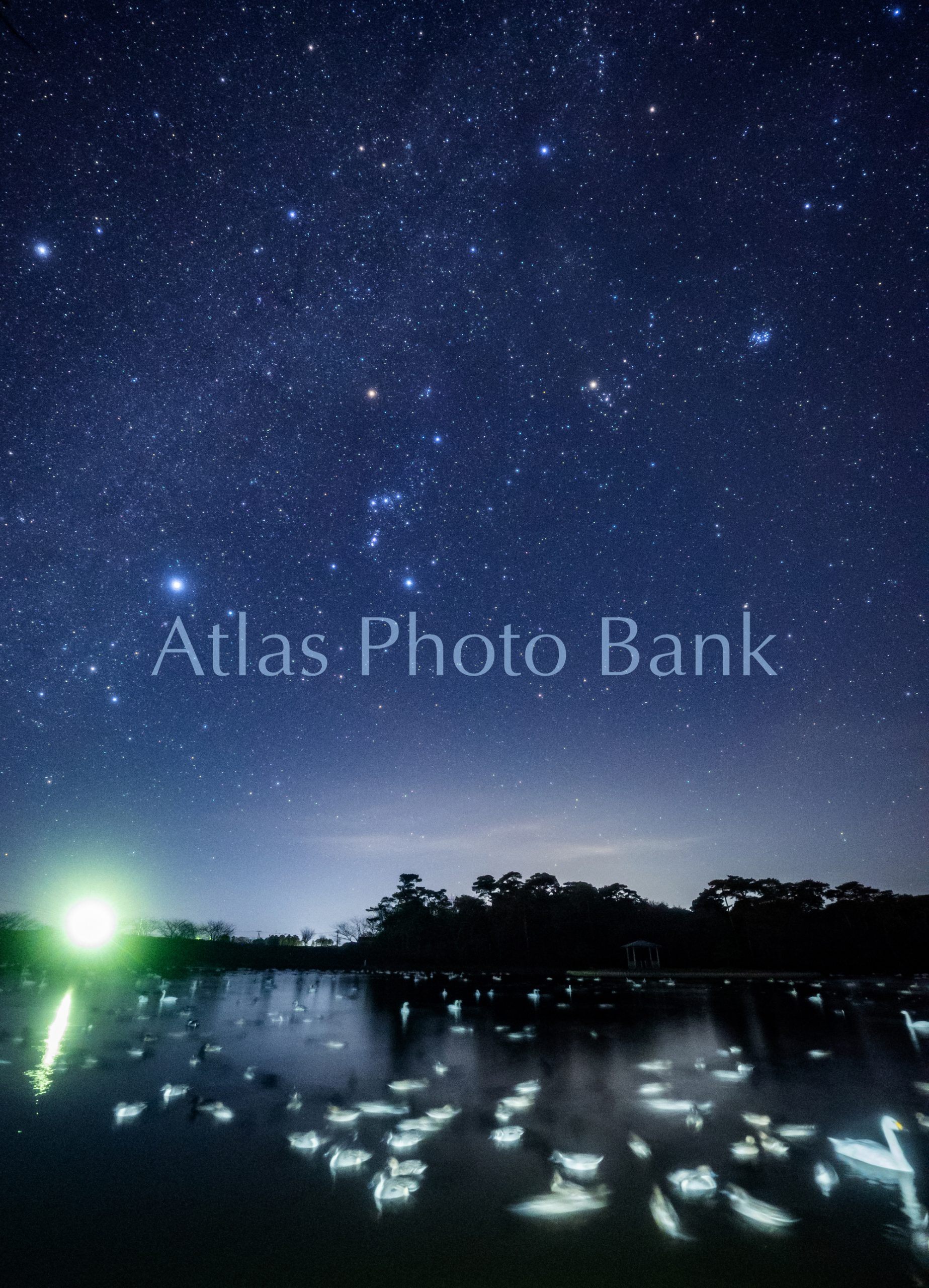 SSP-344-星の降る池と冬の星座