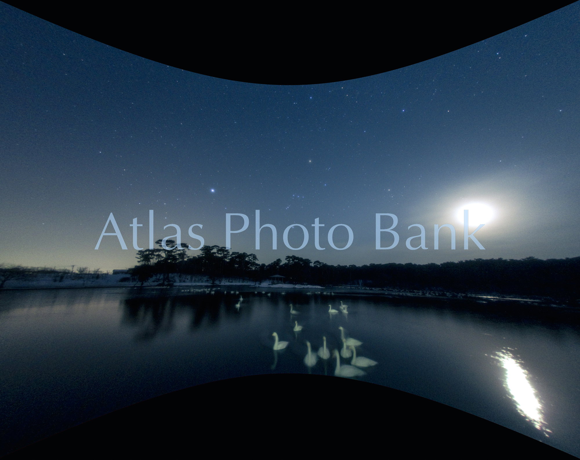 SSP-349-星の降る池と冬の星座