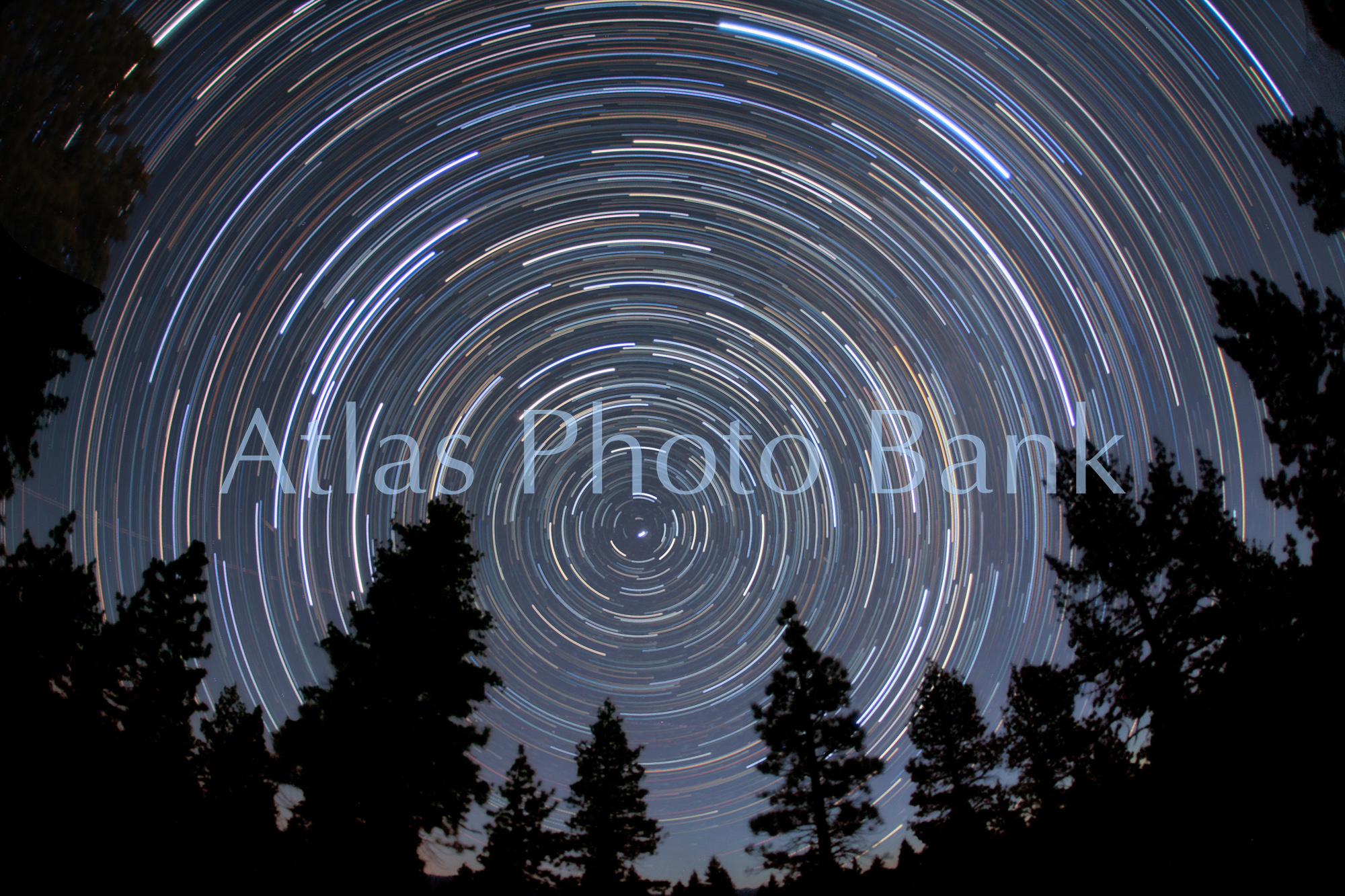 SSP-416-モノ湖近辺の松林で撮影した北天の星の軌跡